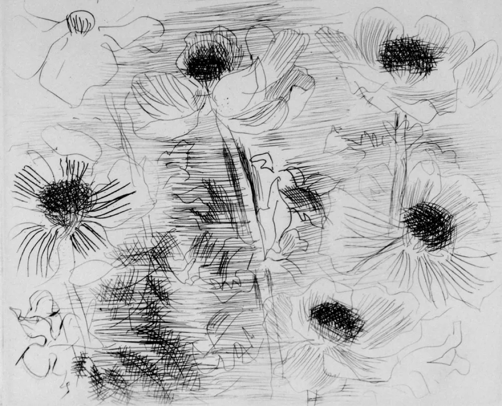 Engraving Dufy - Anemones