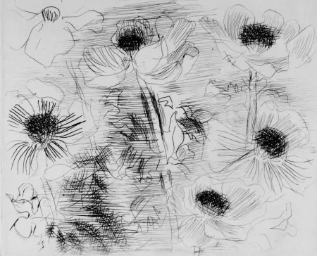 Engraving Dufy - Anemones