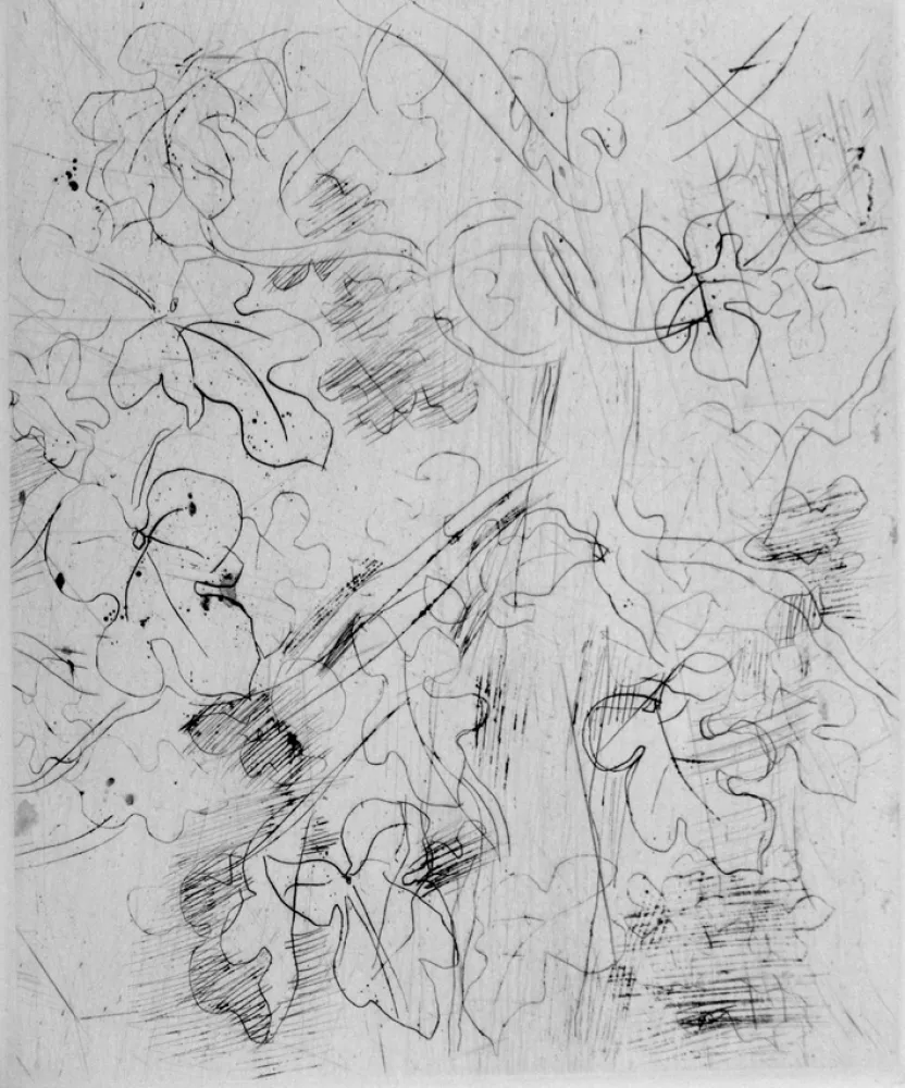 Engraving Dufy - Figuier