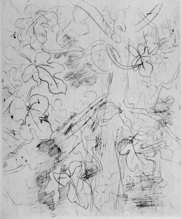 Engraving Dufy - Figuier