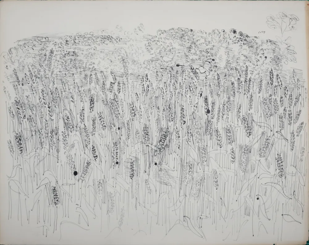 Lithograph Dufy - Les Blés, 1933