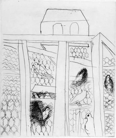 Engraving Dufy - Pigeonners II