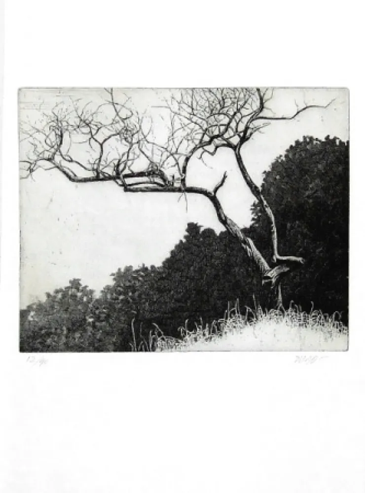 Illustrated Book Dugo - Poco prima del temporale