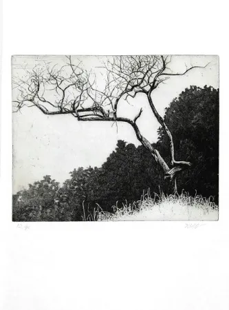 Illustrated Book Dugo - Poco prima del temporale