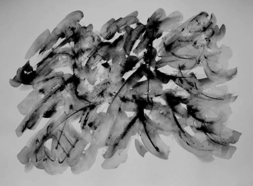 No Technical Dumont - LE VERCORS / THE VERCORS