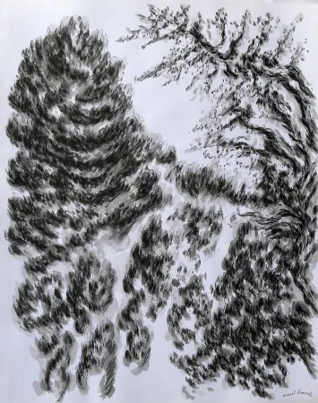 No Technical Dumont - LES / THE ALPILLES