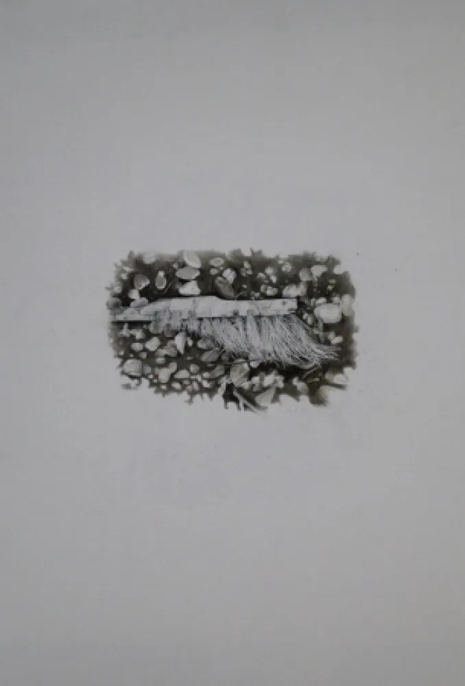 No Technical Ebert - Besen