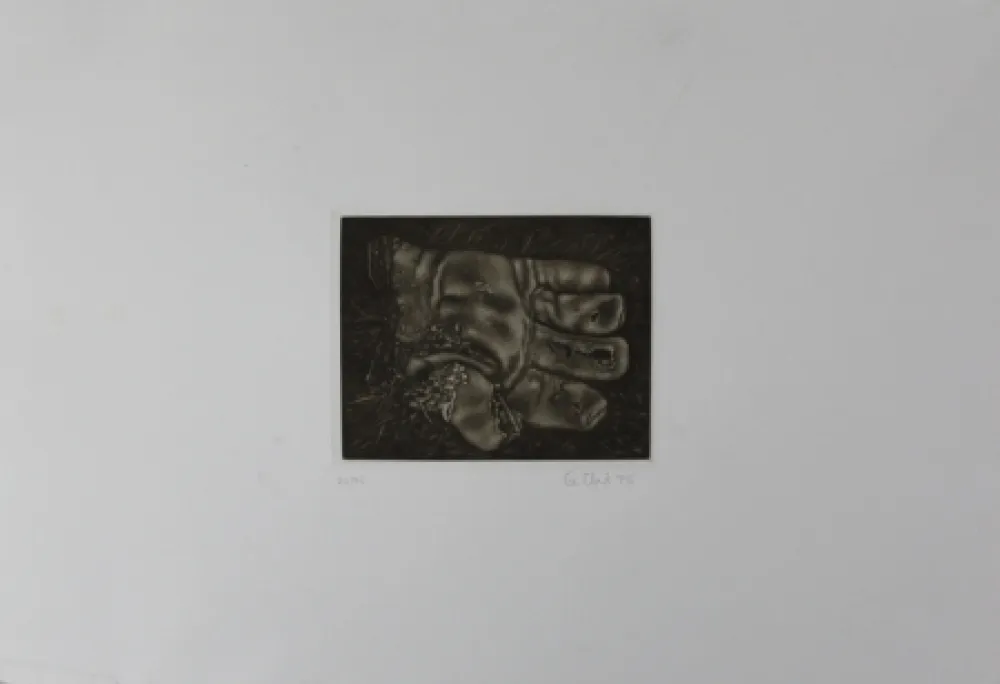 Mezzotint Ebert - Handschuh / Glove
