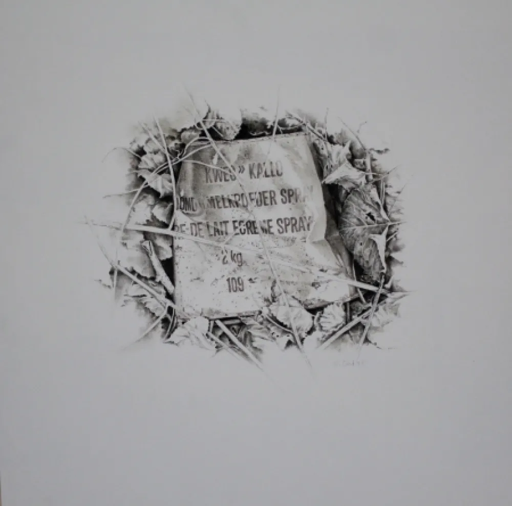 No Technical Ebert - Komposition mit Efeu