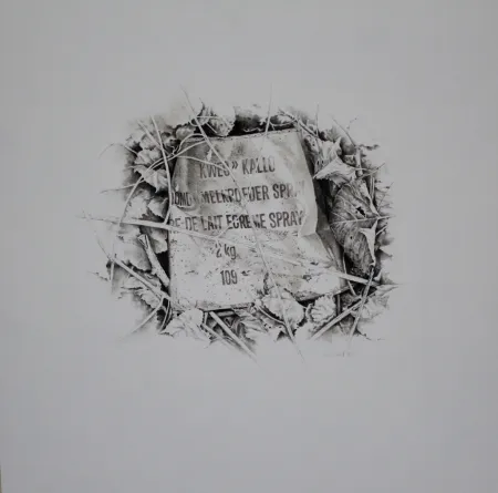 No Technical Ebert - Komposition mit Efeu