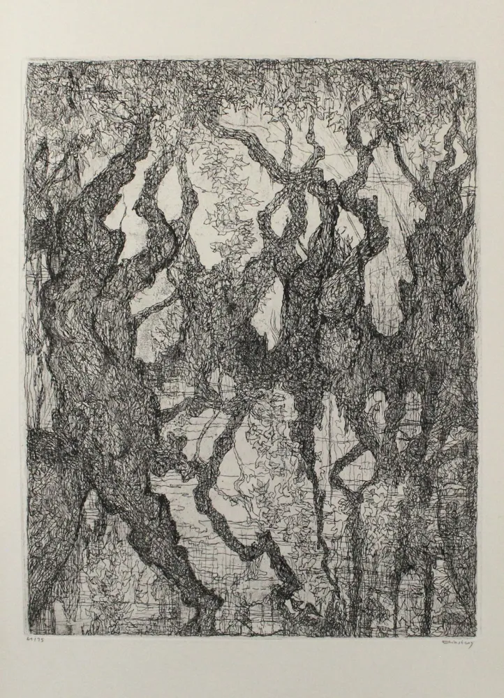 Engraving Eliasberg - Die Platanen des Pelion