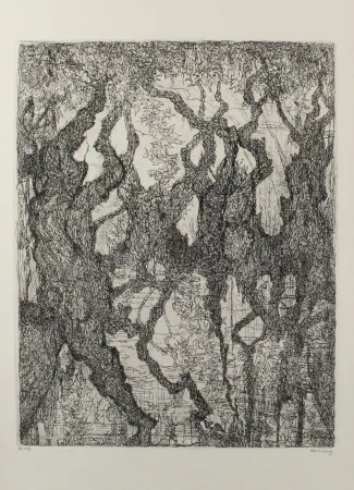 Engraving Eliasberg - Die Platanen des Pelion