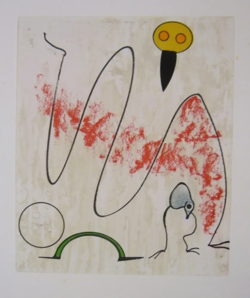 Etching And Aquatint Ernst - From oiseaux en peril