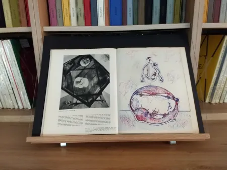 Illustrated Book Ernst - Hommage