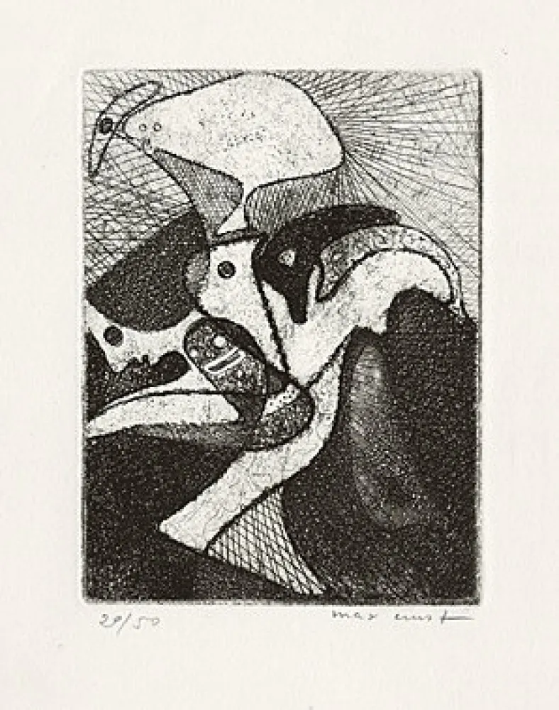 Illustrated Book Ernst - 