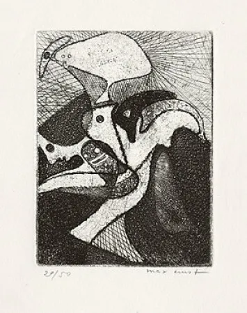 Illustrated Book Ernst - 
