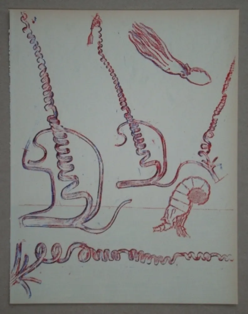 Lithograph Ernst - Lithograph pour XXe Siècle