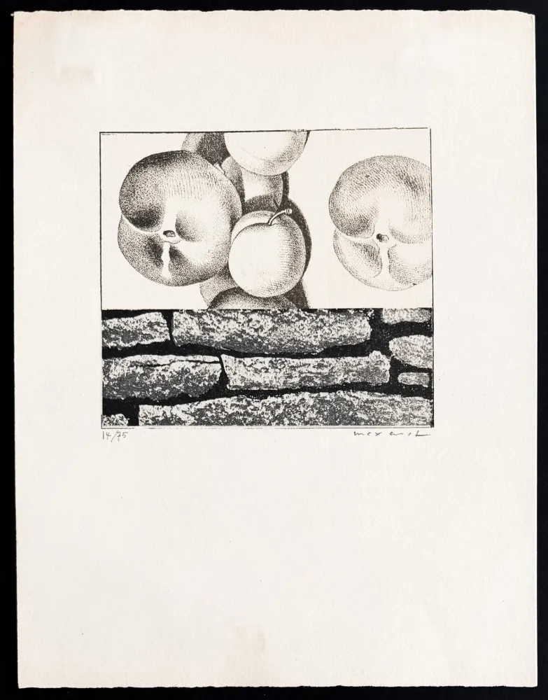 Lithograph Ernst - Max Ernst (1891–1976) - Fruits défendus - Photolithography on paper - 1968
