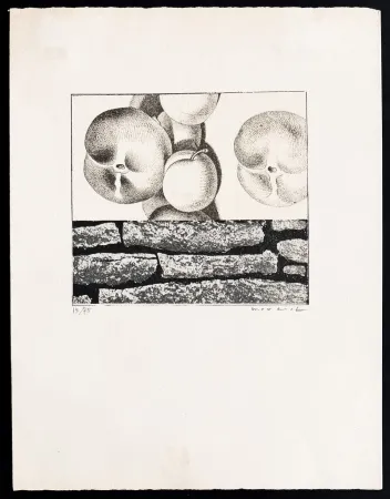 Lithograph Ernst - Max Ernst (1891–1976) - Fruits défendus - Photolithography on paper - 1968