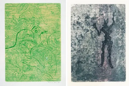 Etching And Aquatint Ernst - PAROLES PEINTES (1959) 2 GRAVURES ORIGINALES DE MAX ERNST (10 gravures originales de Max Ernst, Jacques Hérold, Wifredo Lam, Sébastian Matta et DorotheaTanning. Poèmes d’Alain Bosquet).