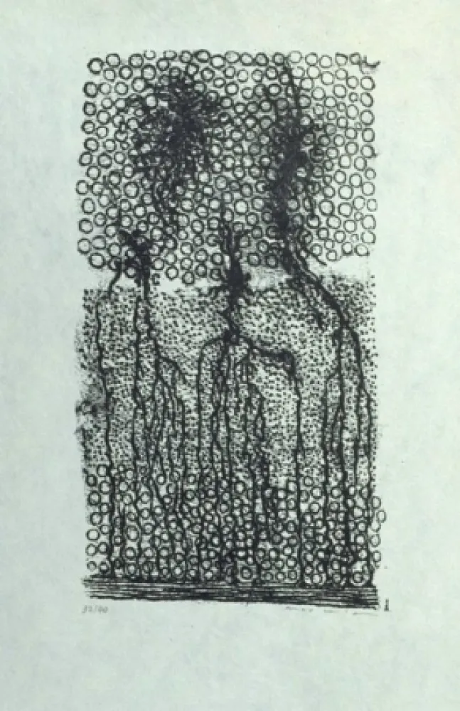 Lithograph Ernst - Sans titre