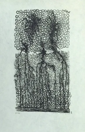 Lithograph Ernst - Sans titre