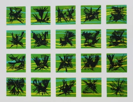 Lithograph Ernst - Terra Incognita 10