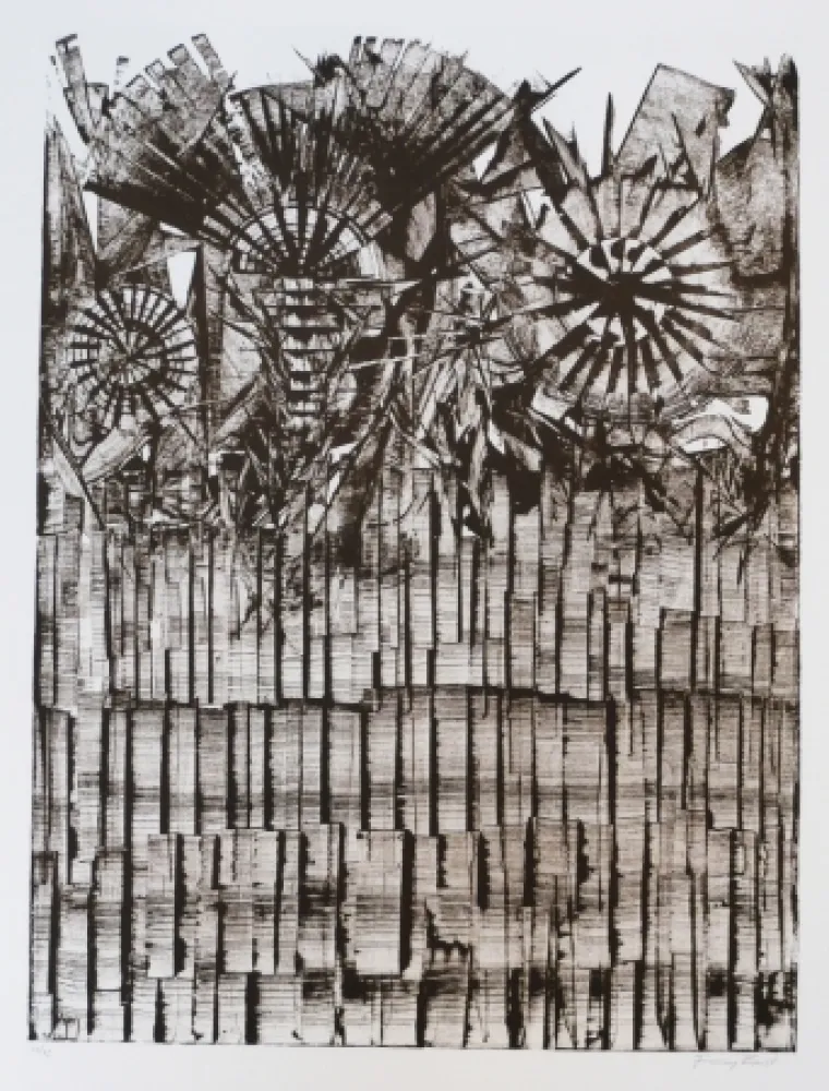 Lithograph Ernst - Terra Incognita 9