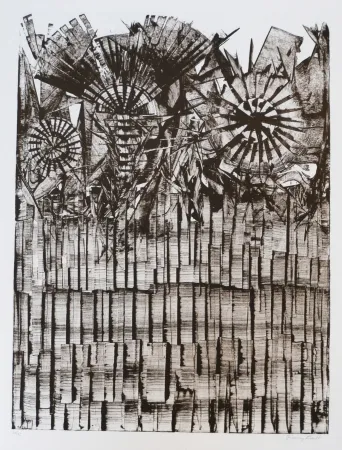 Lithograph Ernst - Terra Incognita 9