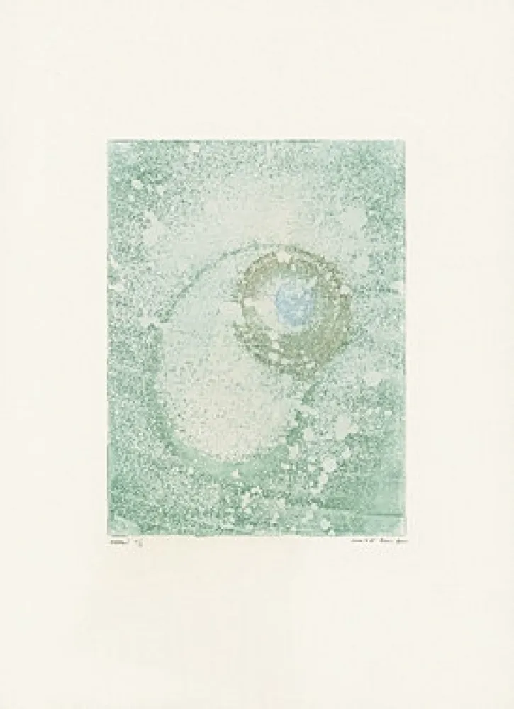 Etching And Aquatint Ernst - 
