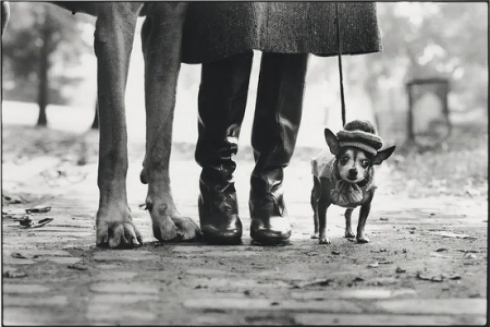 Photography Erwitt - New York City