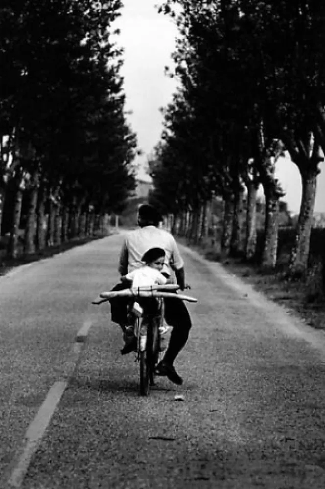 Photography Erwitt - Provence