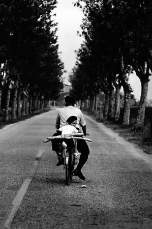 Photography Erwitt - Provence