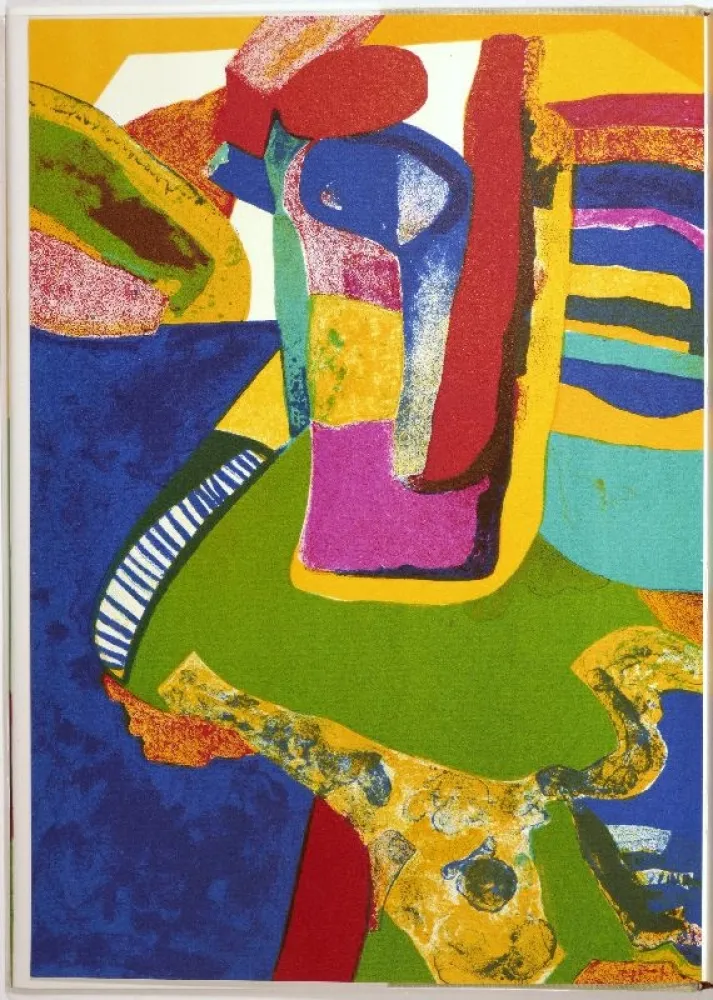 Illustrated Book Esteve - Maurice Estève. L’oeuvre gravé