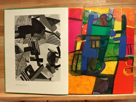 Illustrated Book Esteve - Xxe no33