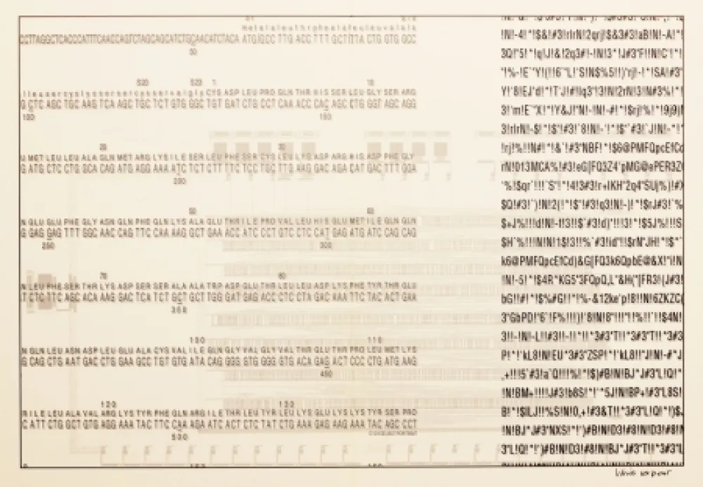 Screenprint Export - Selbstporträt (Self Portrait)