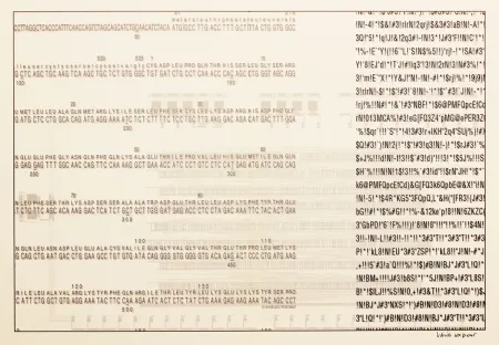 Screenprint Export - Selbstporträt (Self Portrait)