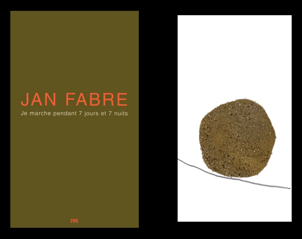 Illustrated Book Fabre - L'art en écrit