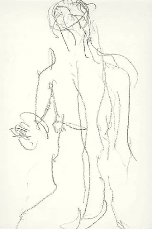 Illustrated Book Fabro - Art body