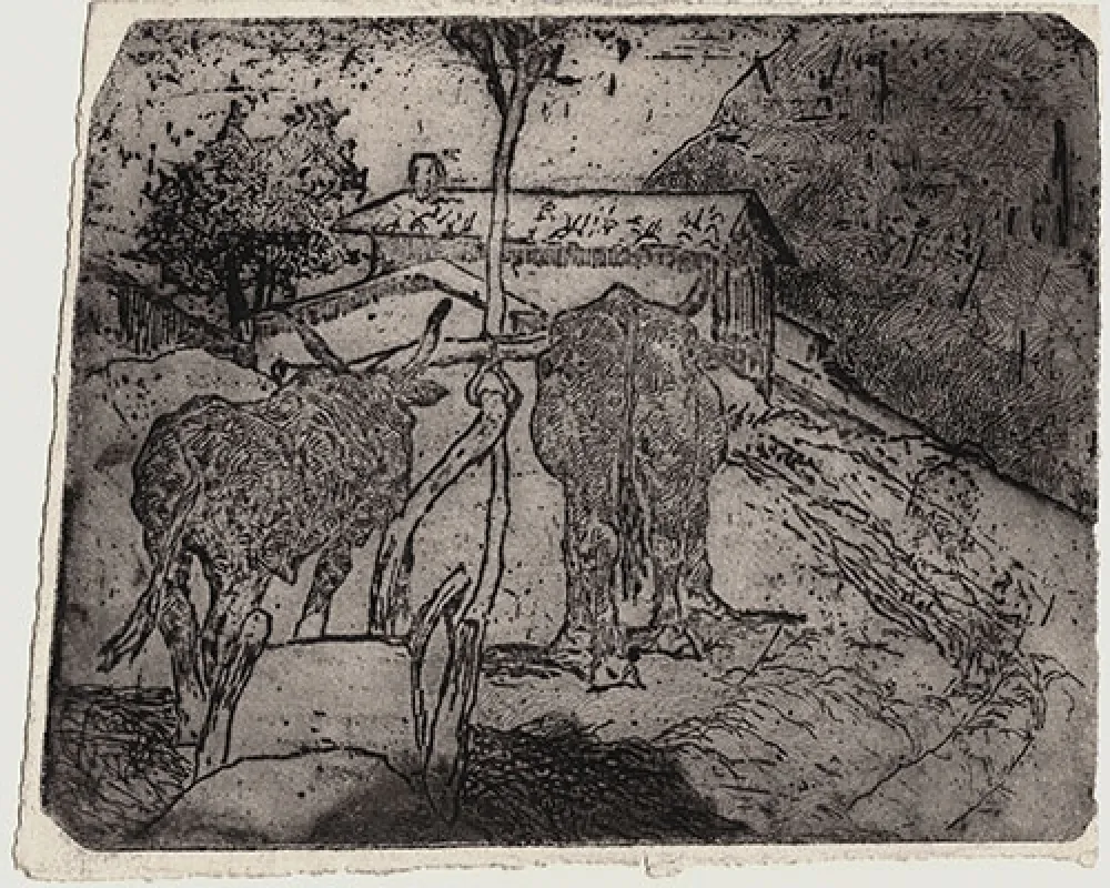 Engraving Fattori - BOVI AGGIOGATI