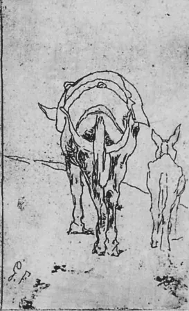 Engraving Fattori - Due somarelli