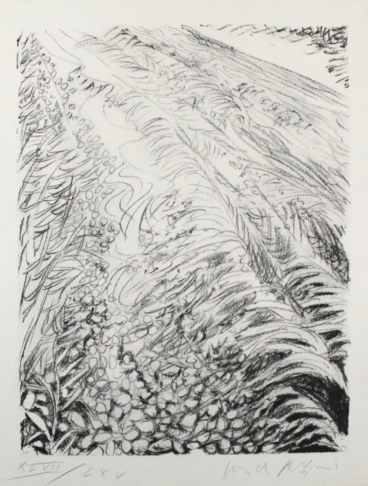 Lithograph Fazzini - Field