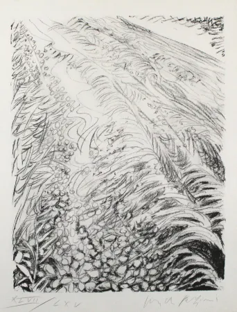 Lithograph Fazzini - Field