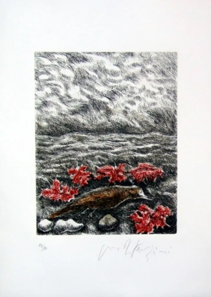 Illustrated Book Fazzini - Gabbiani