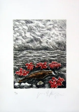 Illustrated Book Fazzini - Gabbiani