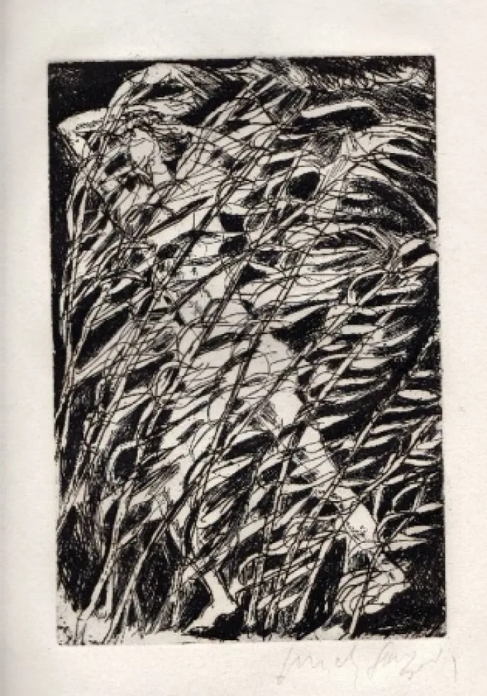 Illustrated Book Fazzini - Inni