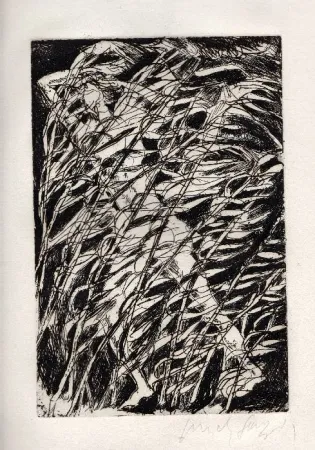 Illustrated Book Fazzini - Inni