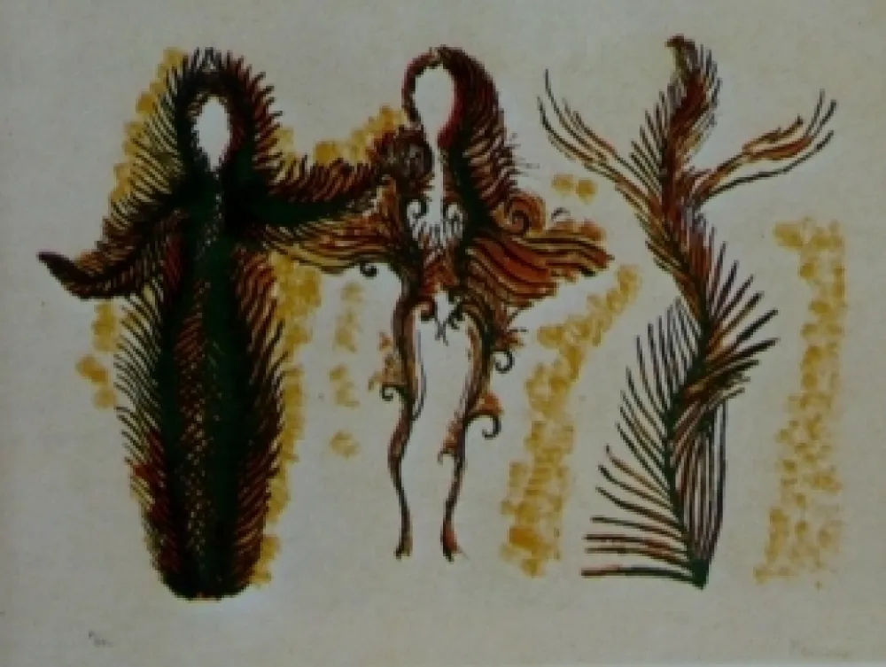 Lithograph Fenosa - Femmes lianes
