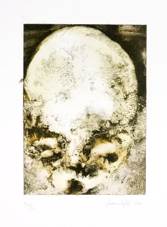 Lithograph Ferré - De précipices en belvédères 2