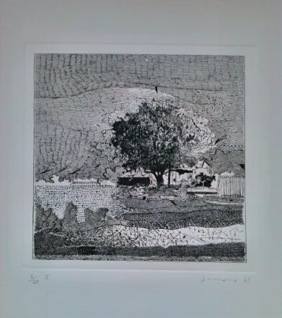 Engraving Ferroni - Il grande albero